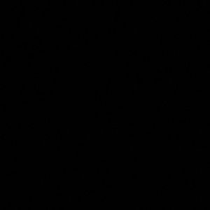 Meet your Posher, Raven